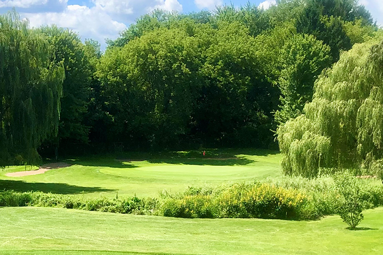 Home Nine Springs Golf Course